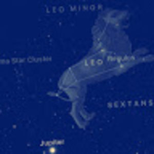 Meet your Posher, Lil